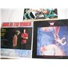 Image 2 : (3) Vintage Records