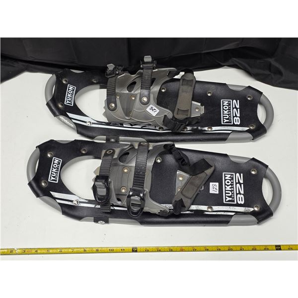 Snow shoes