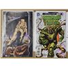 Image 2 : FIVE #1 Comics all NM or mint in Bags and backboards