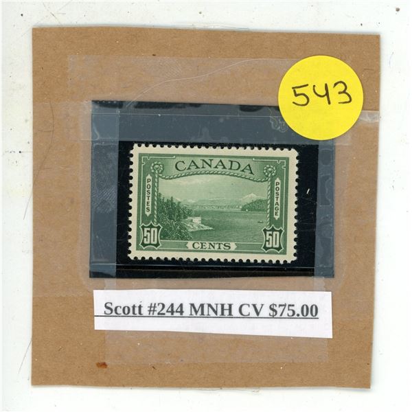 Scott #244 MNH CV $75.00.