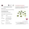 Image 3 : 9.3 ct Certified Himalayan Peridot gemstone PARCEL ($6,975 Appraisal)