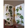 Image 3 : Five Golden Guide books