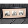 Image 3 : (2) Framed Prints (3) Photographs in Each 19"x43"