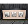 Image 4 : (2) Framed Prints (3) Photographs in Each 19"x43"