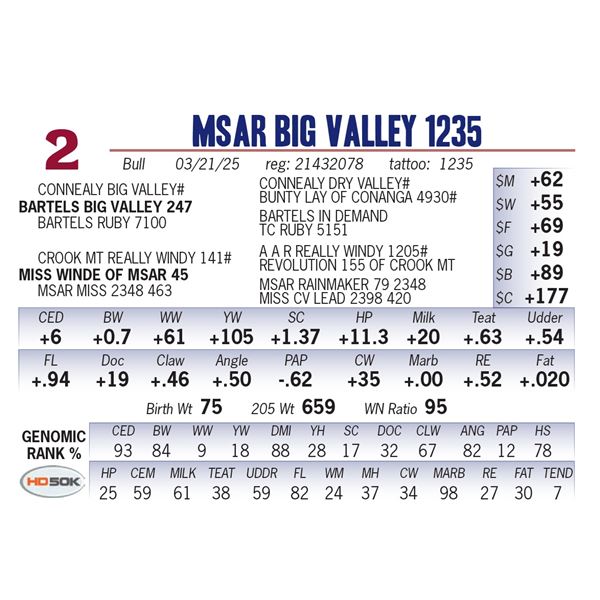 MSAR Big Valley 1235