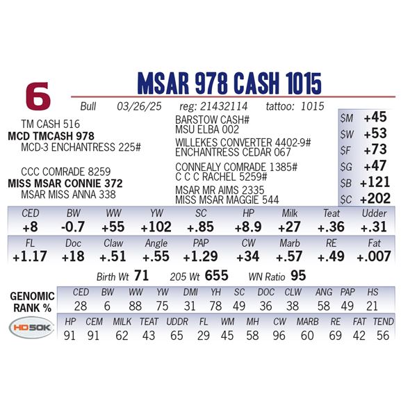 MSAR 978 Cash 1015