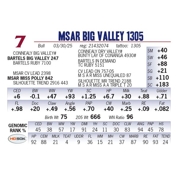MSAR Big Valley 1305