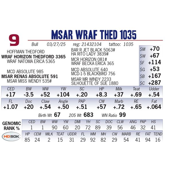 MSAR WRAF Thed 1035