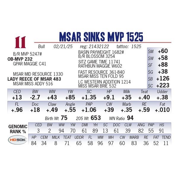 MSAR Sinks MVP 1525
