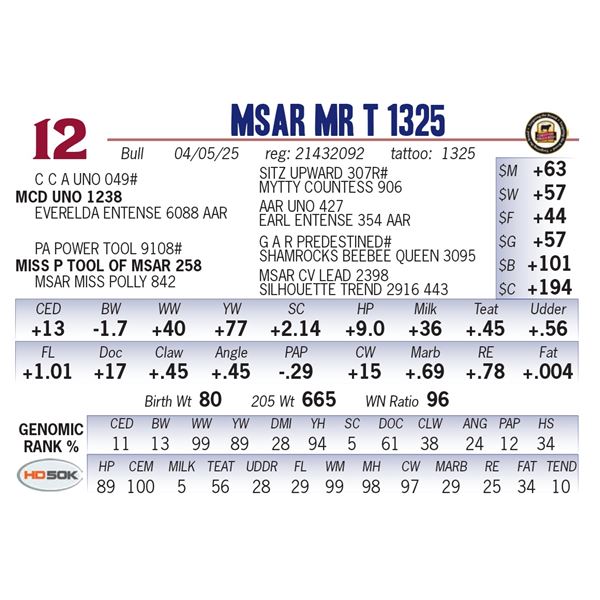 MSAR Mr T 1325