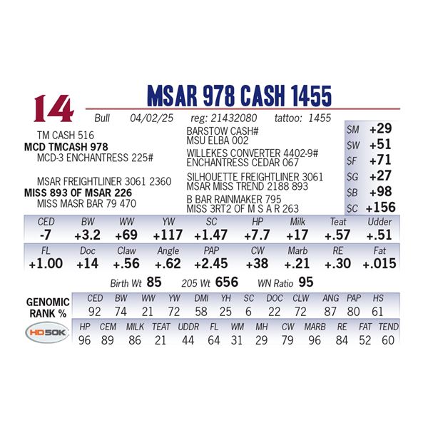 MSAR 978 Cash 1455