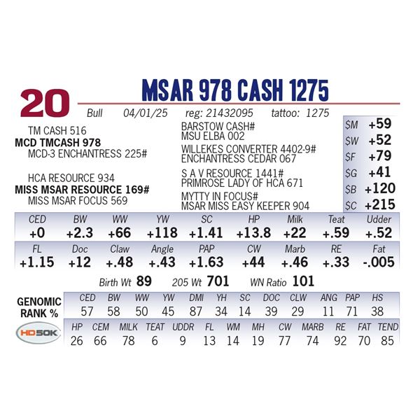 MSAR 978 Cash 1275