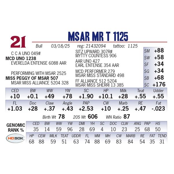 MSAR Mr T 1125