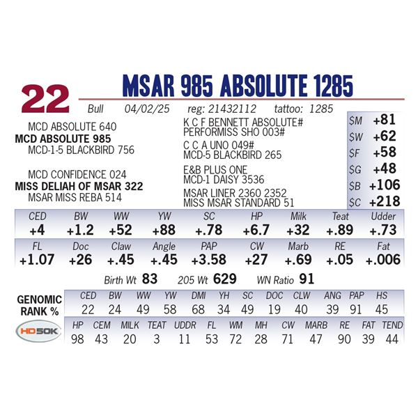 MSAR 985 Absolute 1285