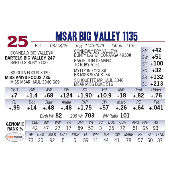 MSAR Big Valley 1135