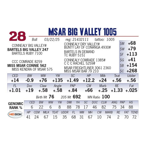 MSAR Big Valley 1005