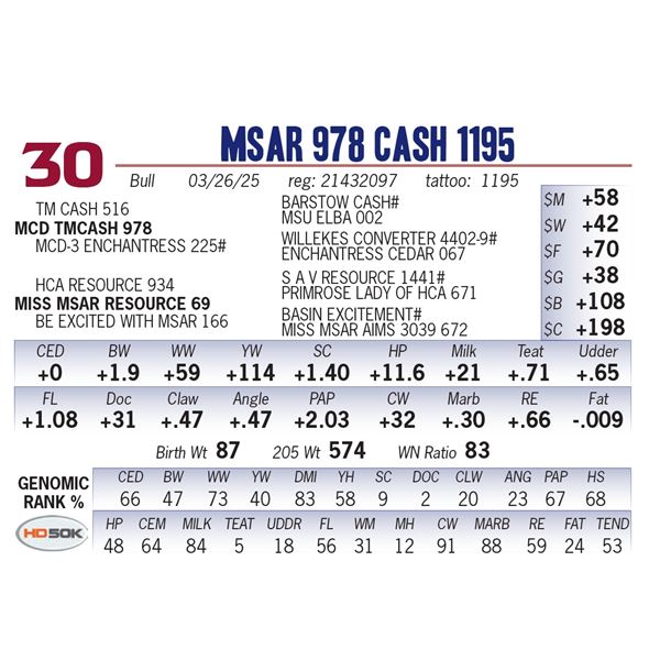 MSAR 978 Cash 1195