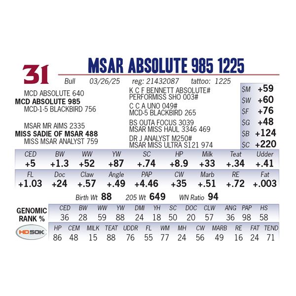 MSAR Absolute 985 1225