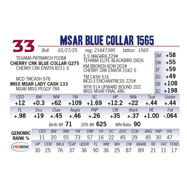 MSAR Blue Collar 1565