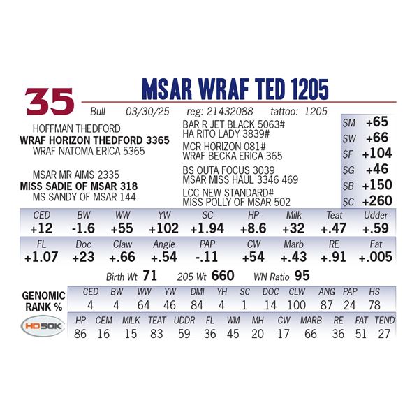 MSAR WRAF Ted 1205