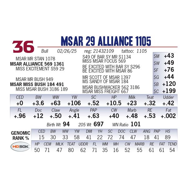 MSAR 29 Alliance 1105