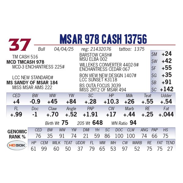 MSAR 978 Cash 13756