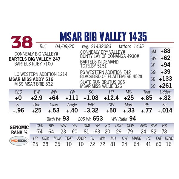 MSAR Big Valley 1435