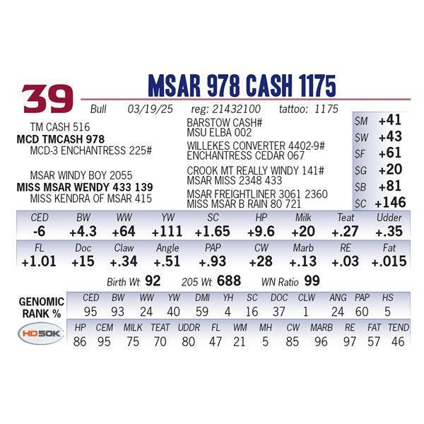 MSAR 978 Cash 1175