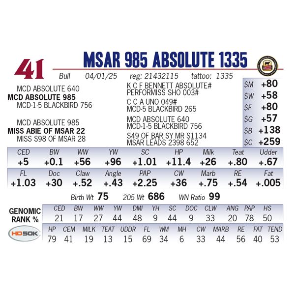 MSAR 985 Absolute 1335