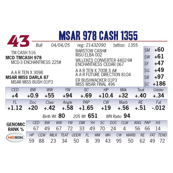 MSAR 978 Cash 1355