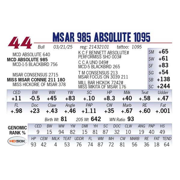 MSAR 985 Absolute 1095