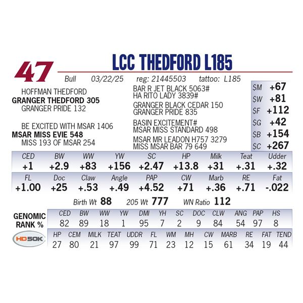 LCC Thedford L185