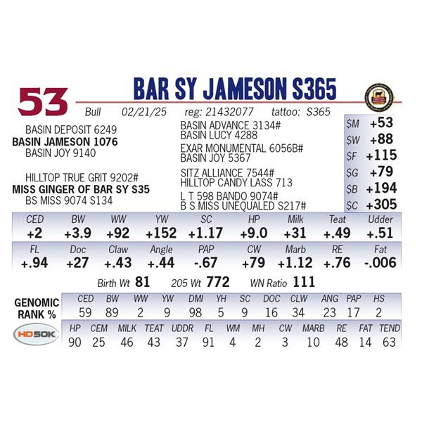 Bar SY Jameson S365