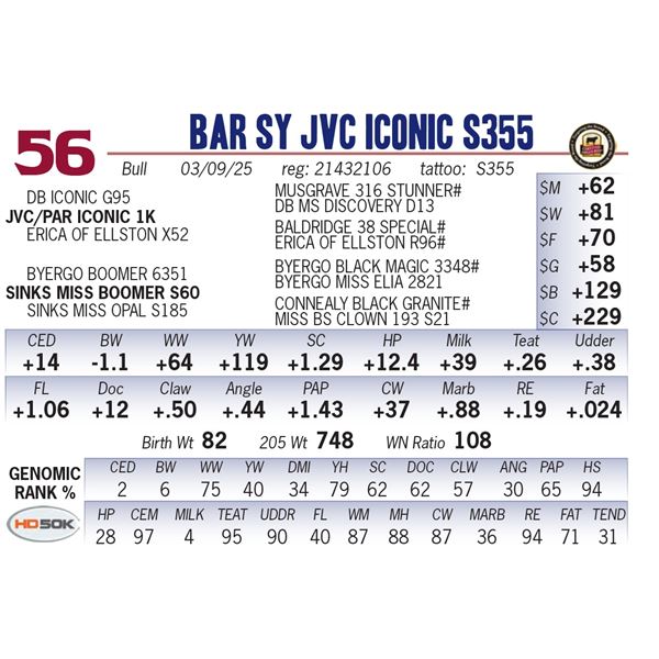 Bar SY JVC Iconic S355