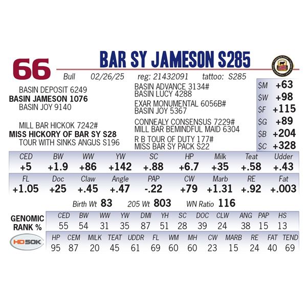 Bar SY Jameson S285