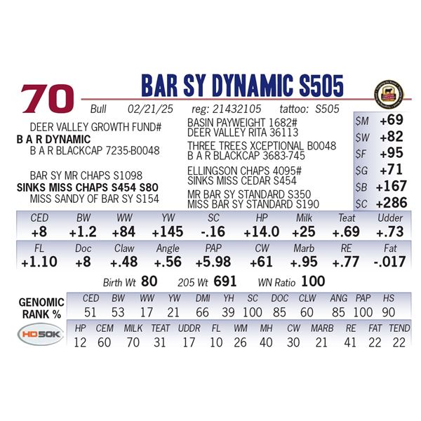 Bar SY Dynamic S505