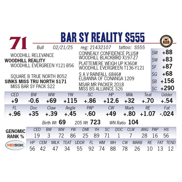 Bar SY Reality S555
