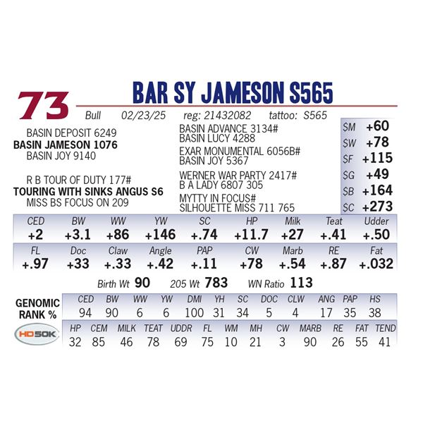 Bar SY Jameson S565