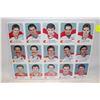 Image 1 : 1987-88 UNCUT SHEET FLAMES 2 LANNY