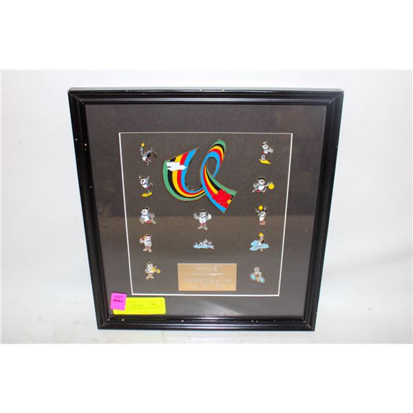 FRAMED COMMEMORATIVE PINS
