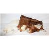 Image 1 : COWHIDE & RABBIT FUR PELTS TOGETHER-ESTATE