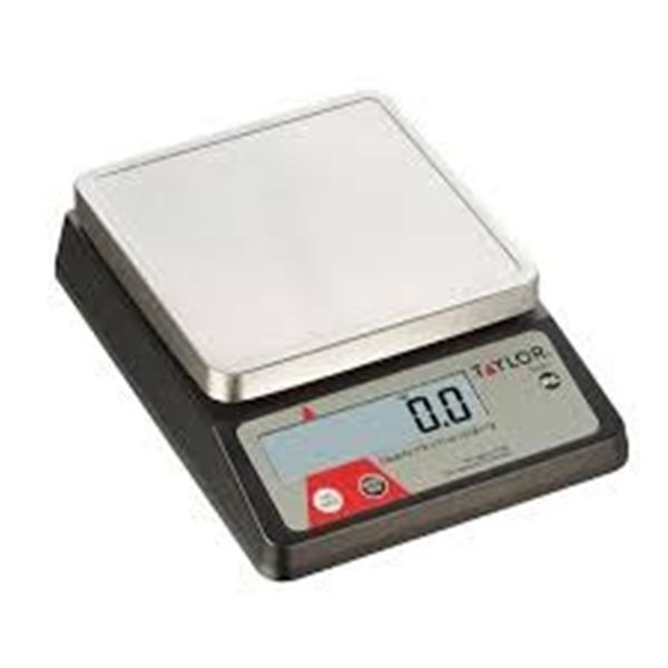 NEW TAYLOR PROFESSIONAL DIGITAL SCALE
