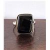 Image 1 : 9)  RECTANGULAR CUT NATURAL BLACK ONYX