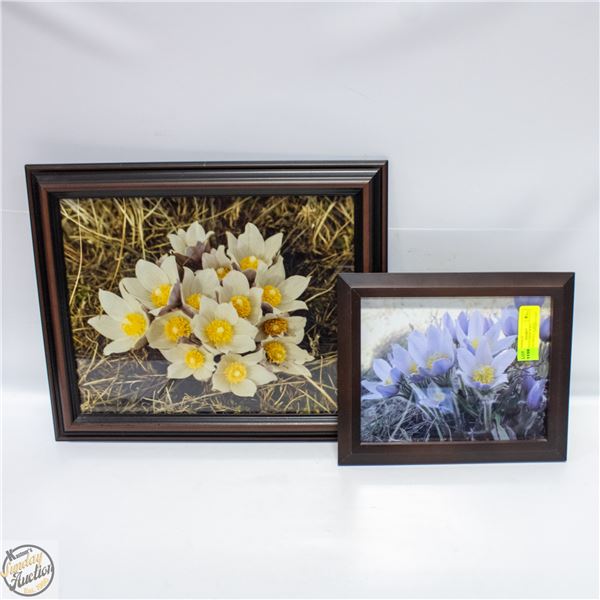 2 FRAMED FLOWER WALL HANGINGS SMALL+LARGE