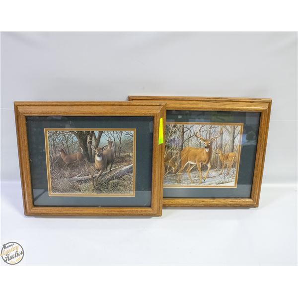 PAIR OF FRAMED DEER PICTURE 34CMX41CM