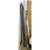 Image 1 : LOT OF VINTAGE SKIS