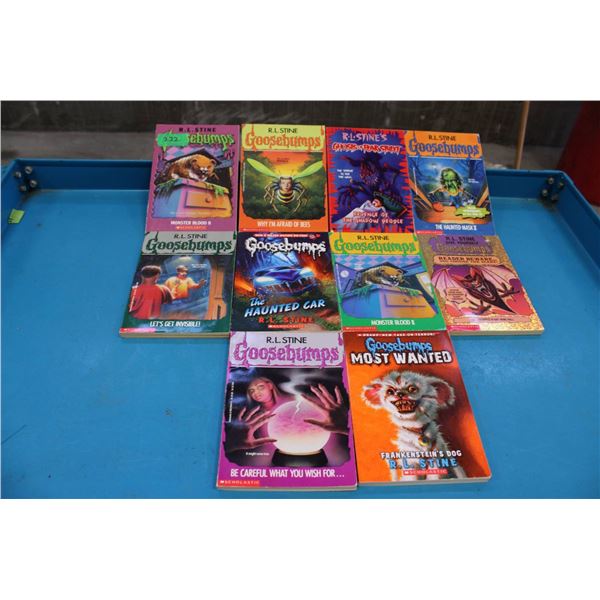 R.L. Stine Goosebumps series paperback books