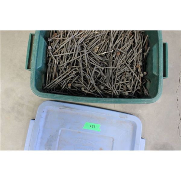 Metal Nails in Plastic Container