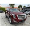 Image 2 : CADI ESCALADE 2017 O/S TITLE 2 DAYS