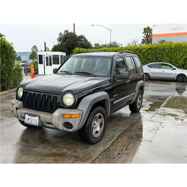 JEEP  LIBERTY 2004 APP  DUP/T-DON